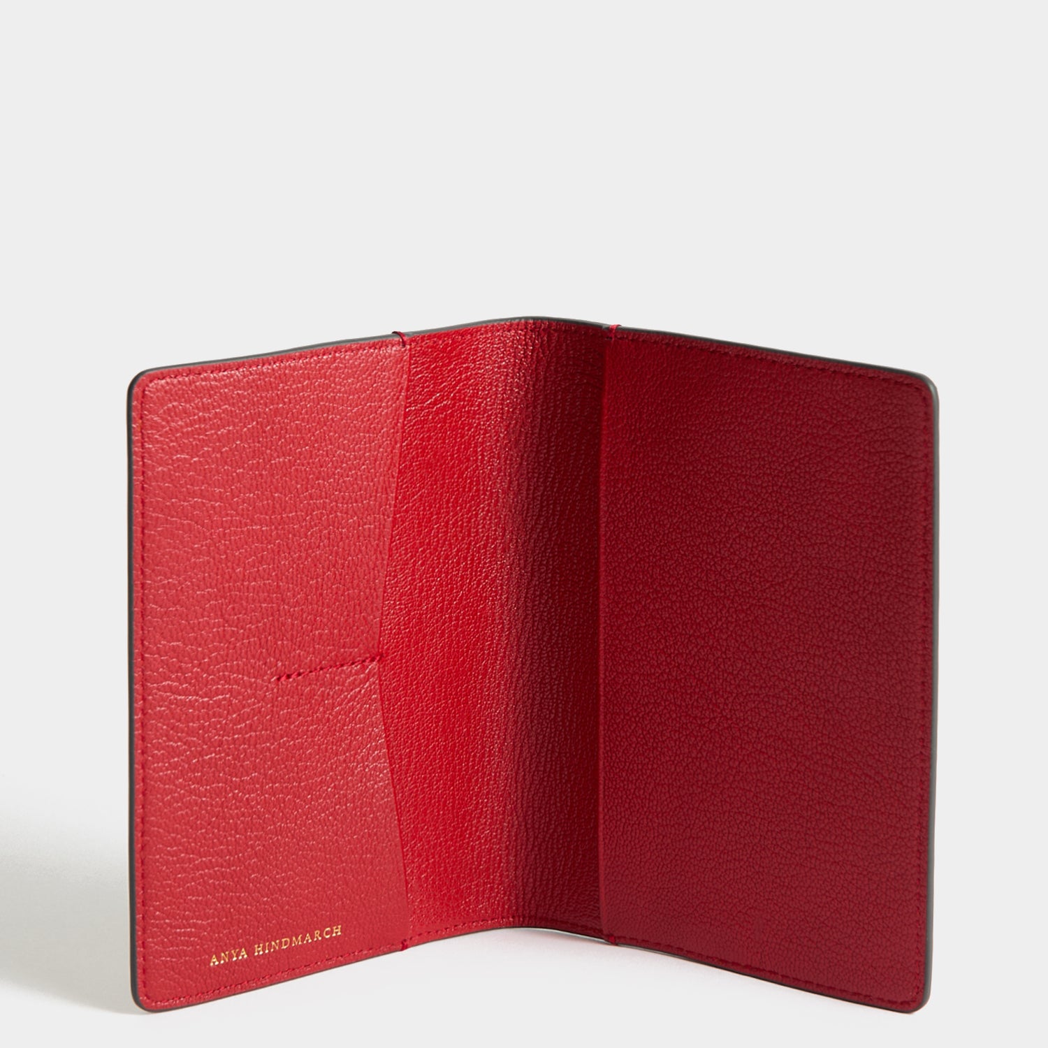 Fast Track Passport Case | Anya Hindmarch