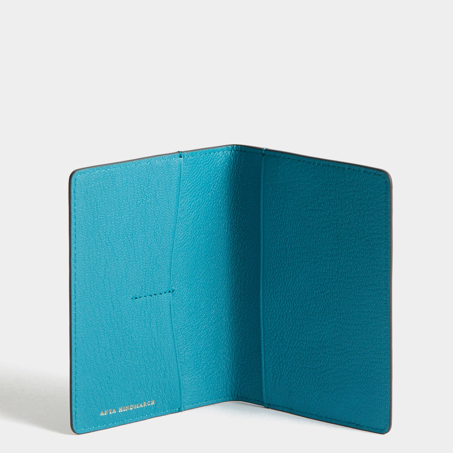 Anya Brands Pan AM Passport Case | Anya Hindmarch