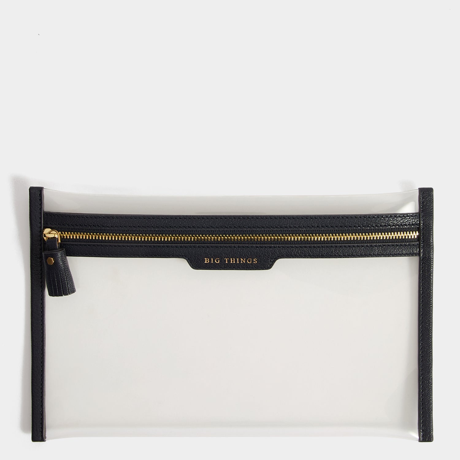 Big Things Loose Pocket | Anya Hindmarch
