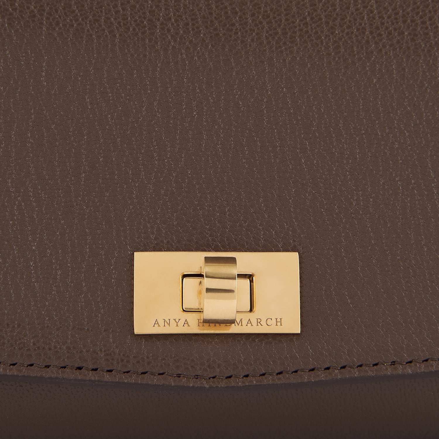 Tube Bag -

                  
                    Capra Leather in Truffle -
                  

                  Anya Hindmarch UK
