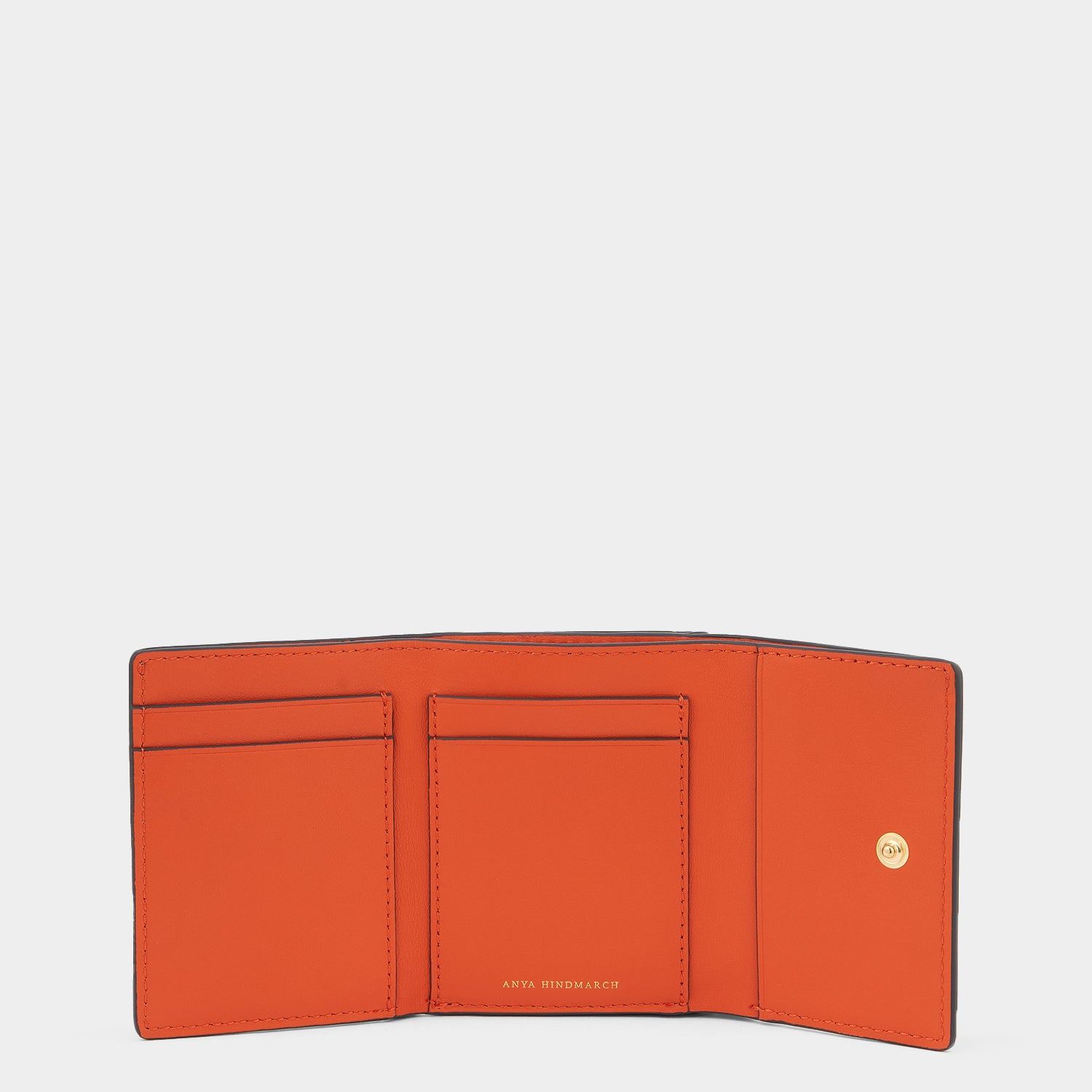 Zany Mini Trifold -

                  
                    Capra Leather in Fern -
                  

                  Anya Hindmarch UK
