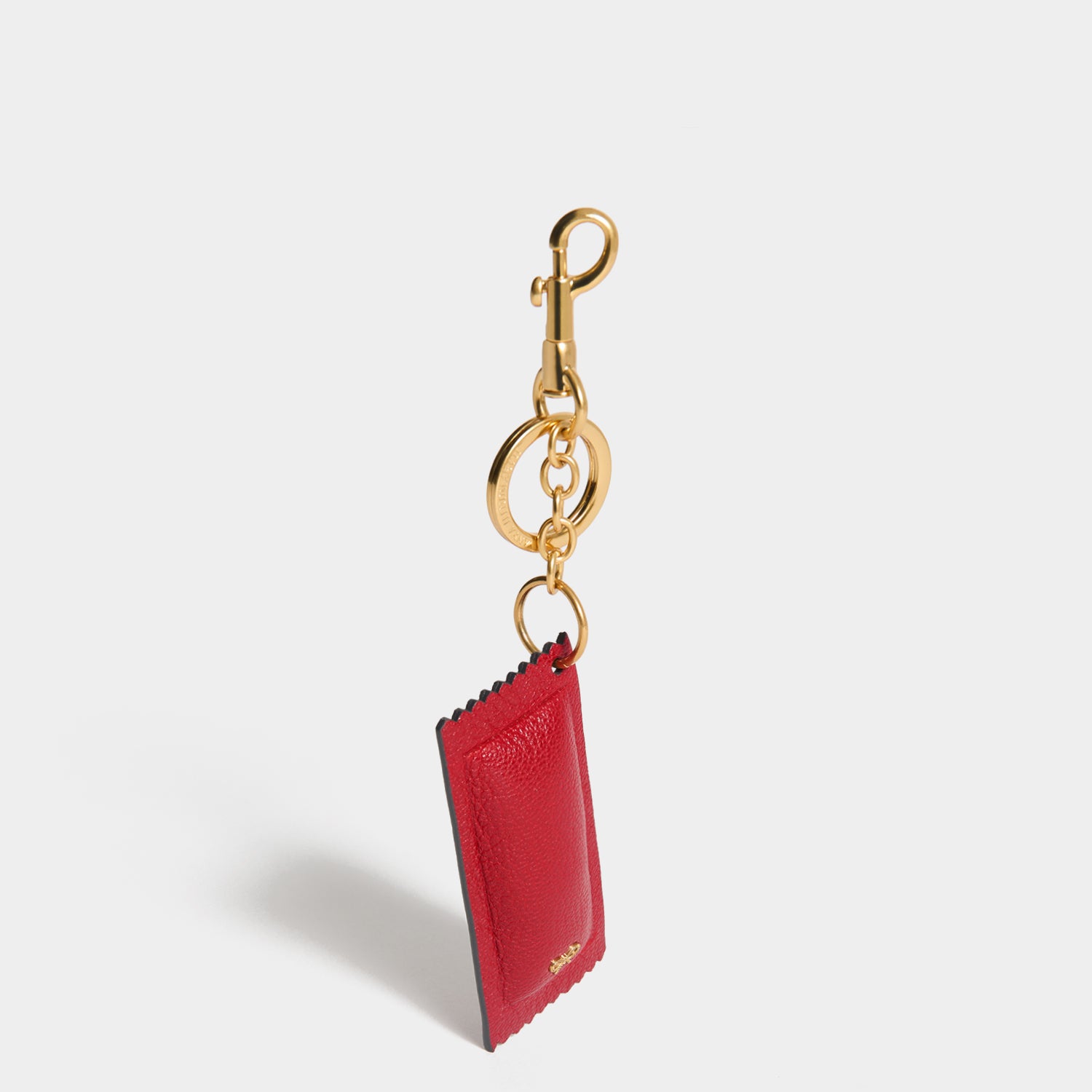 Anya Brands Heinz Ketchup Charm -

          
            Capra Leather in Red -
          

          Anya Hindmarch UK
