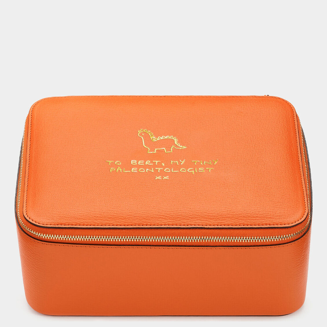 Dinosaurs Wow Box XL -

                  
                    Capra Leather in Clementine -
                  

                  Anya Hindmarch UK
