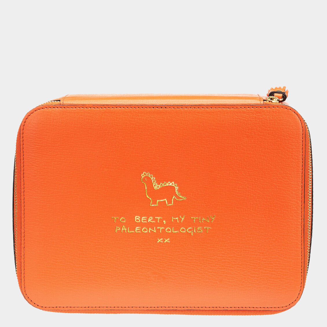 Dinosaurs Wow Box XL -

                  
                    Capra Leather in Clementine -
                  

                  Anya Hindmarch UK
