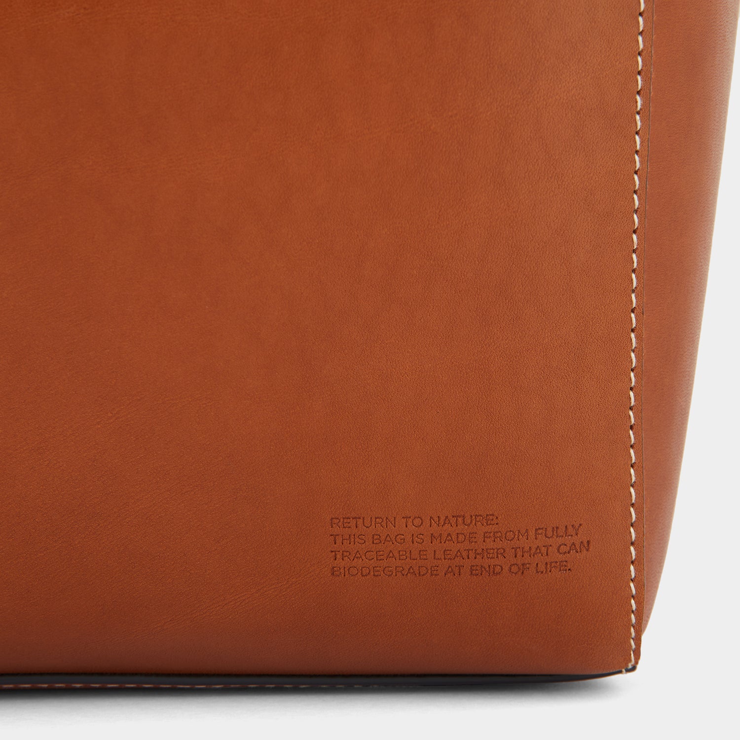 Return to Nature Tote Small -

                  
                    Compostable Leather in Tan -
                  

                  Anya Hindmarch UK
