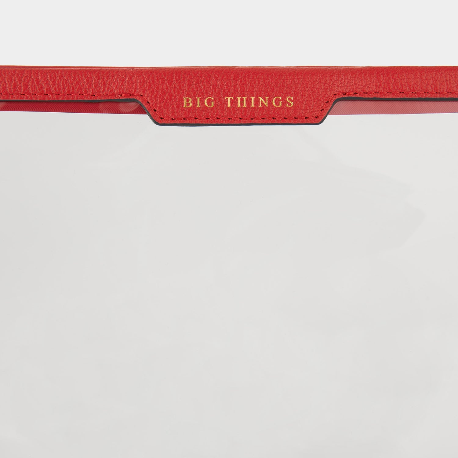 Big Things Pouch -

                  
                    Capra Leather in Red -
                  

                  Anya Hindmarch UK
