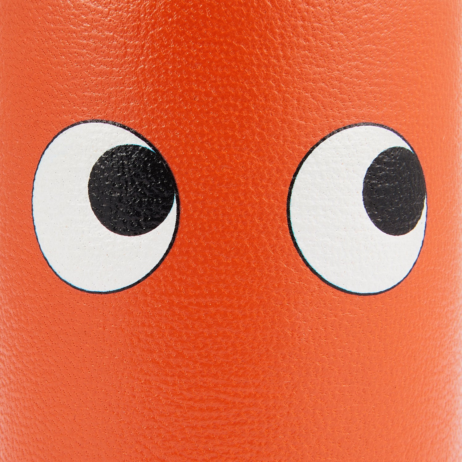 Eyes Pencil Pot -

                  
                    Capra in Clementine -
                  

                  Anya Hindmarch UK
